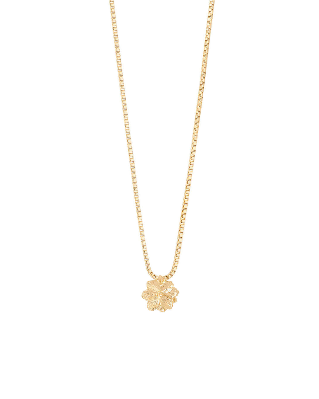 COLLAR ENTRE FLOR, FEBRERO- VIOLETA