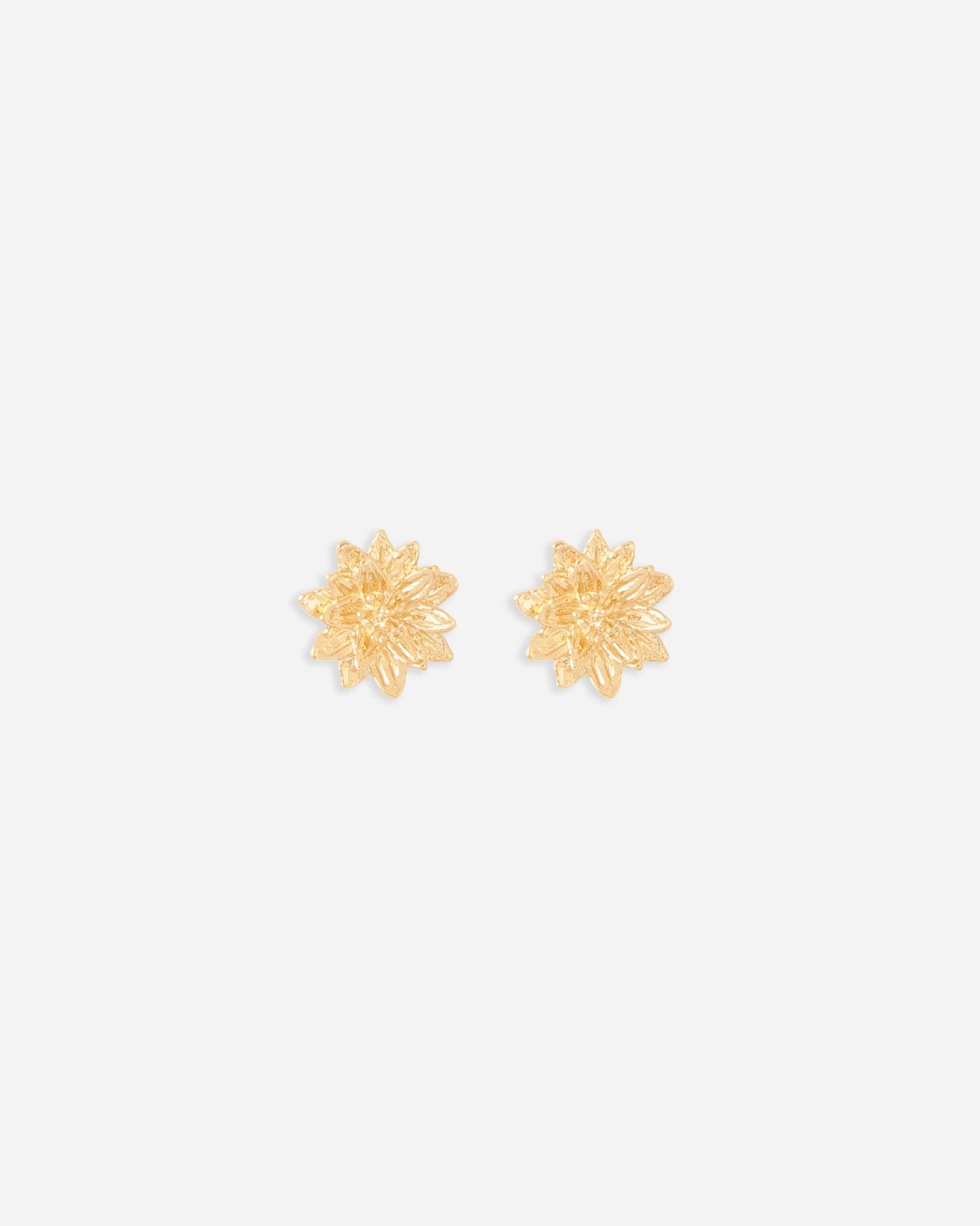 BROQUEL ENTRE FLOR, JULIO, FLOR DE LOTO