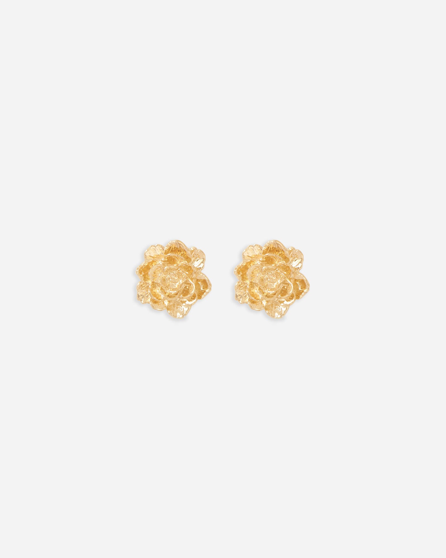 BROQUEL ENTRE FLOR, MAYO- PEONIA