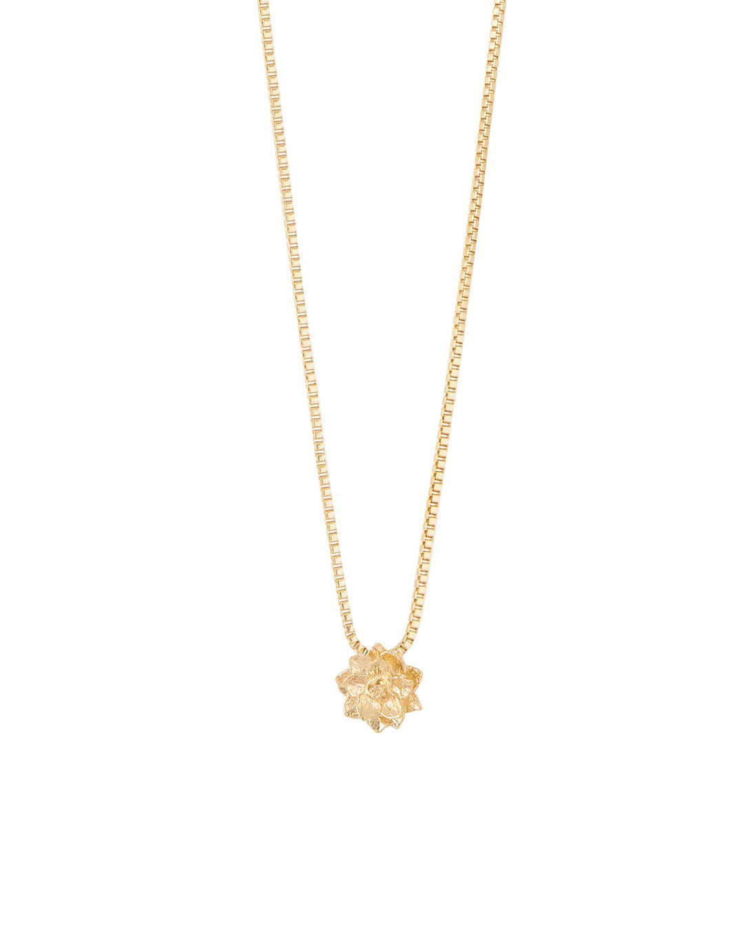 COLLAR ENTRE FLOR, NOVIEMBRE- CAMELIA