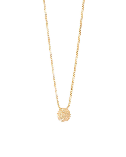 COLLAR ENTRE FLOR, OCTUBRE- CALENDULA